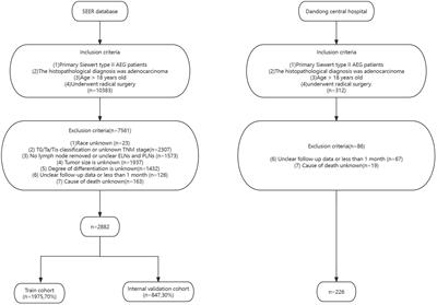 Construction of a novel nomogram for predicting overall survival in patients with Siewert type II AEG based on LODDS: a study based on the seer database and external validation